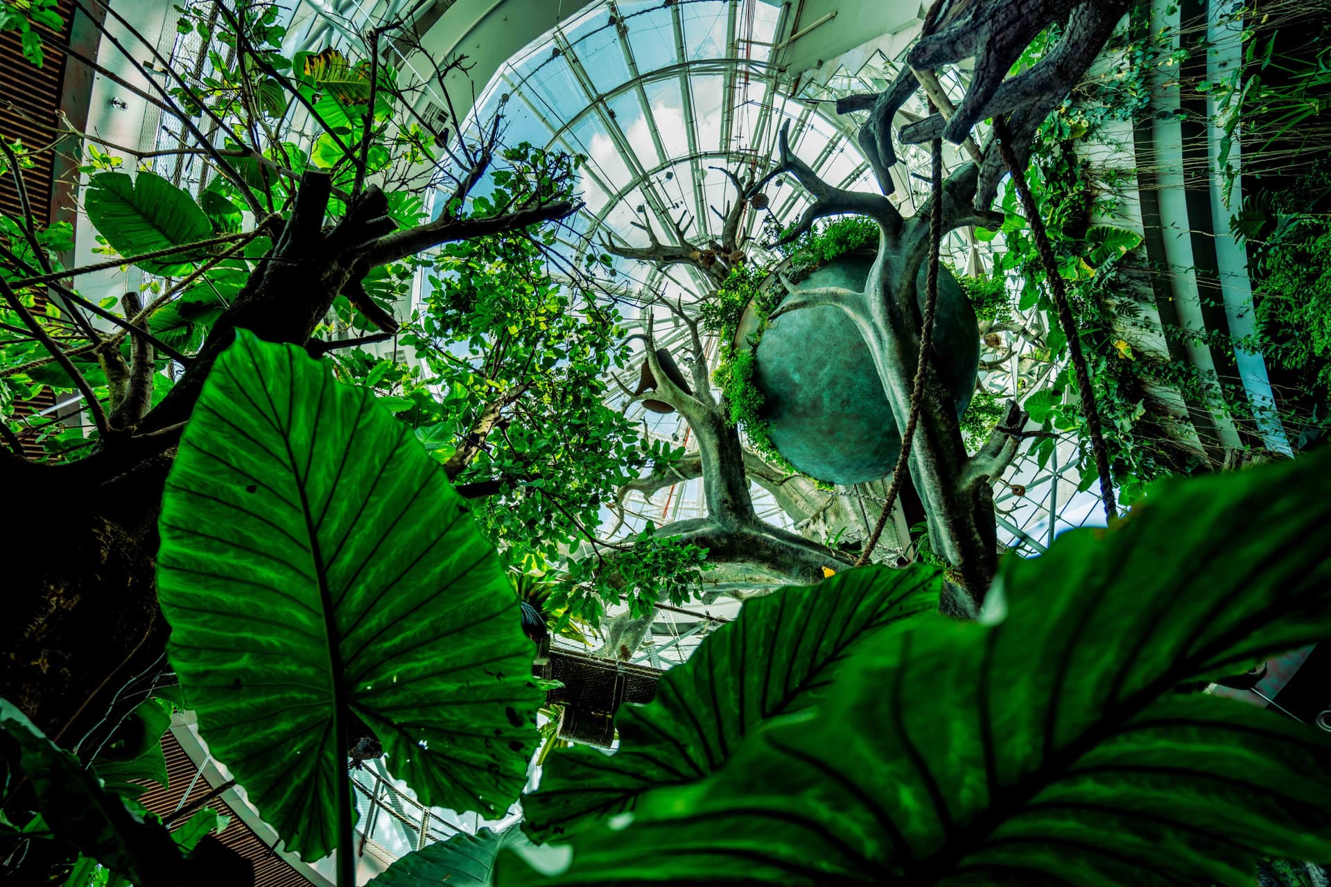 Amazing Dubai Pass - image 16